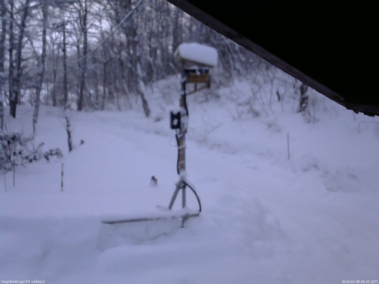 長野県菅平高原 ゆたか山荘 南側 2026/02/08 06:45