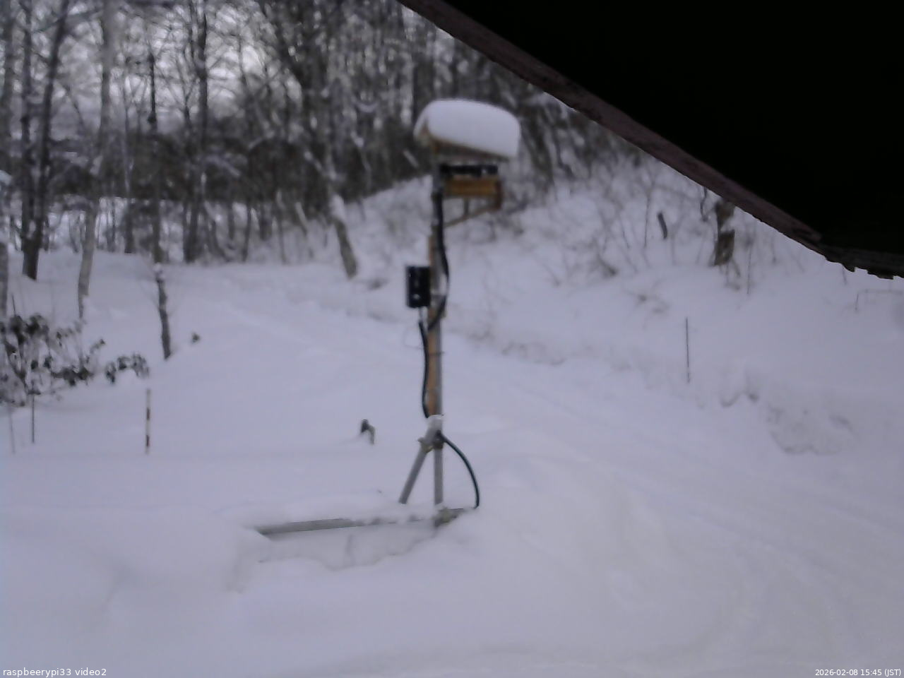長野県菅平高原 ゆたか山荘 南側 2026/02/08 15:45