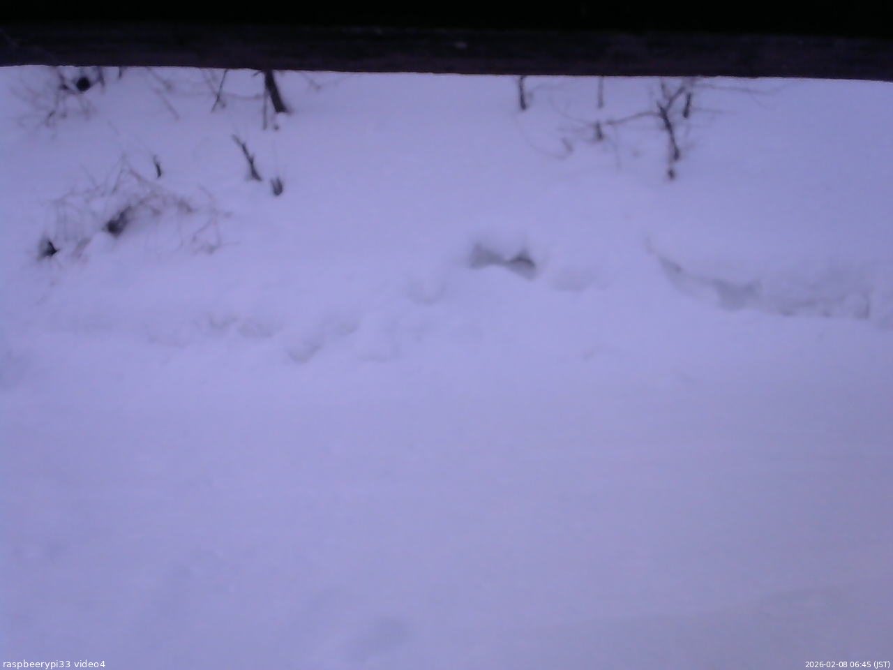 長野県菅平高原 ゆたか山荘 東側(坂下) 2026/02/08 06:45