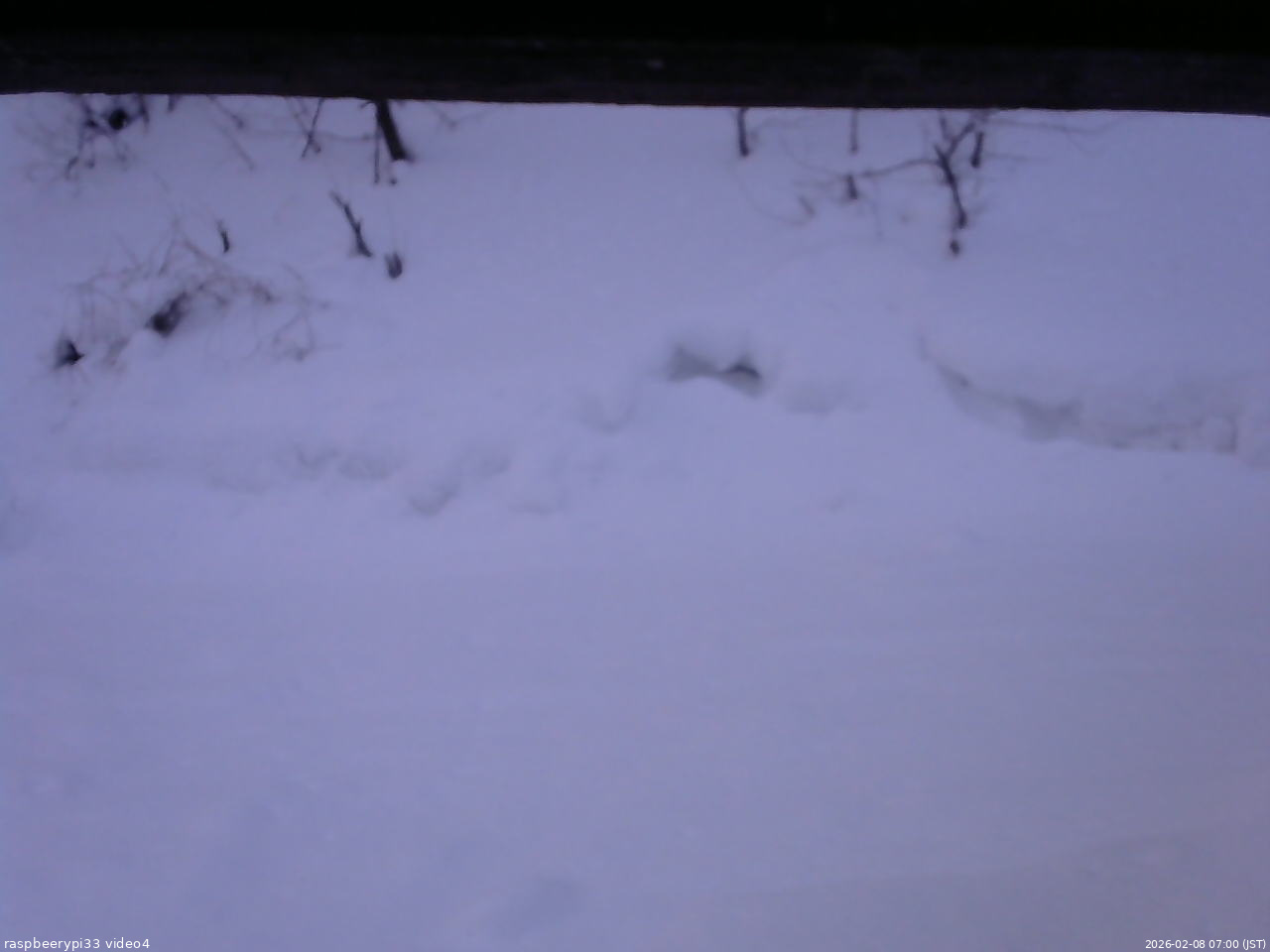 長野県菅平高原 ゆたか山荘 東側(坂下) 2026/02/08 07:00