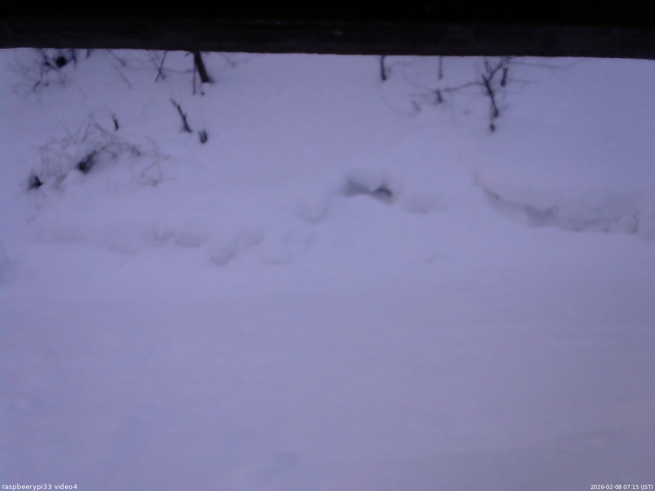 長野県菅平高原 ゆたか山荘 東側(坂下) 2026/02/08 07:15