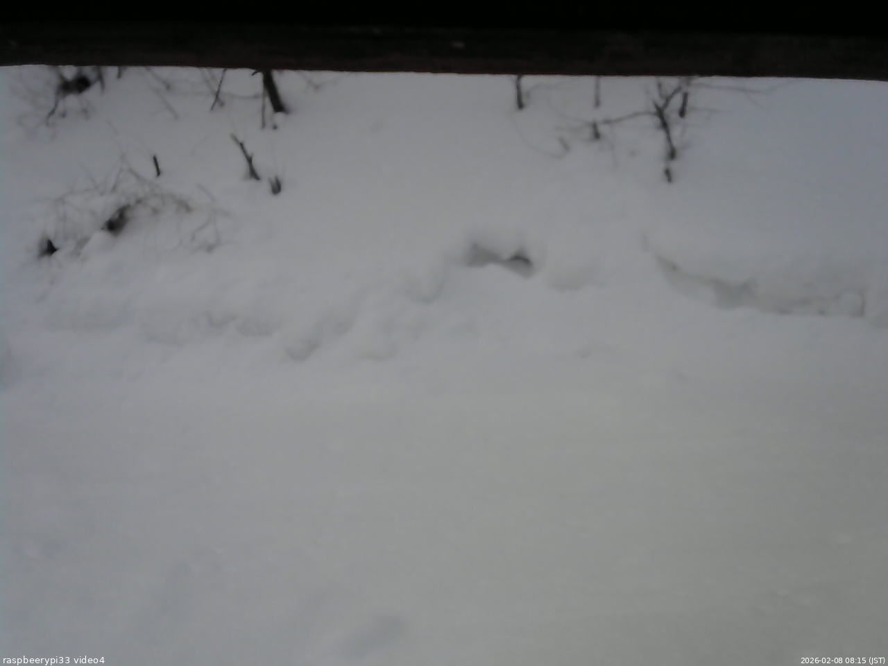 長野県菅平高原 ゆたか山荘 東側(坂下) 2026/02/08 08:15