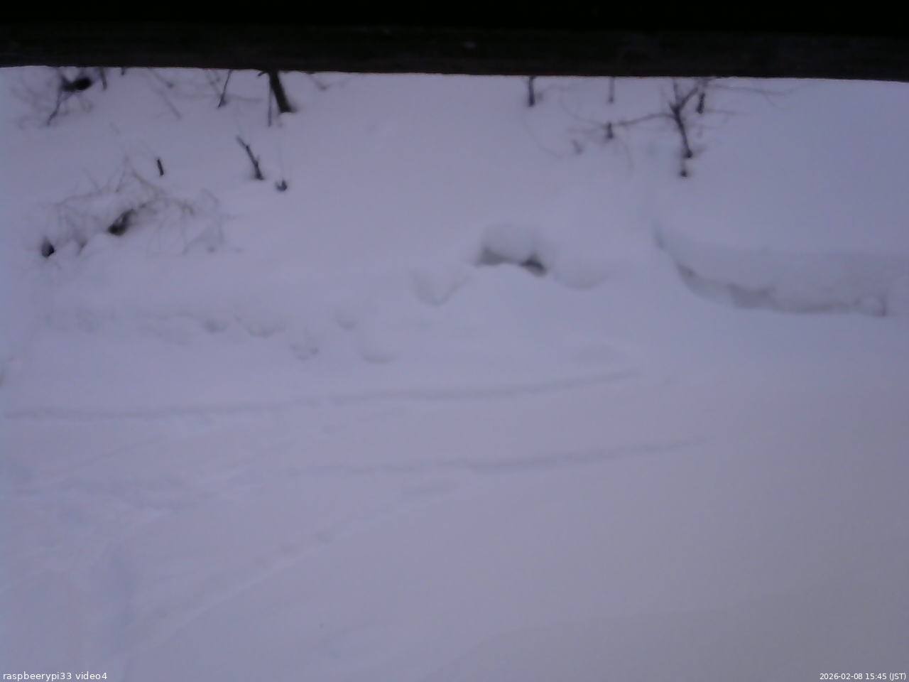 長野県菅平高原 ゆたか山荘 東側(坂下) 2026/02/08 15:45