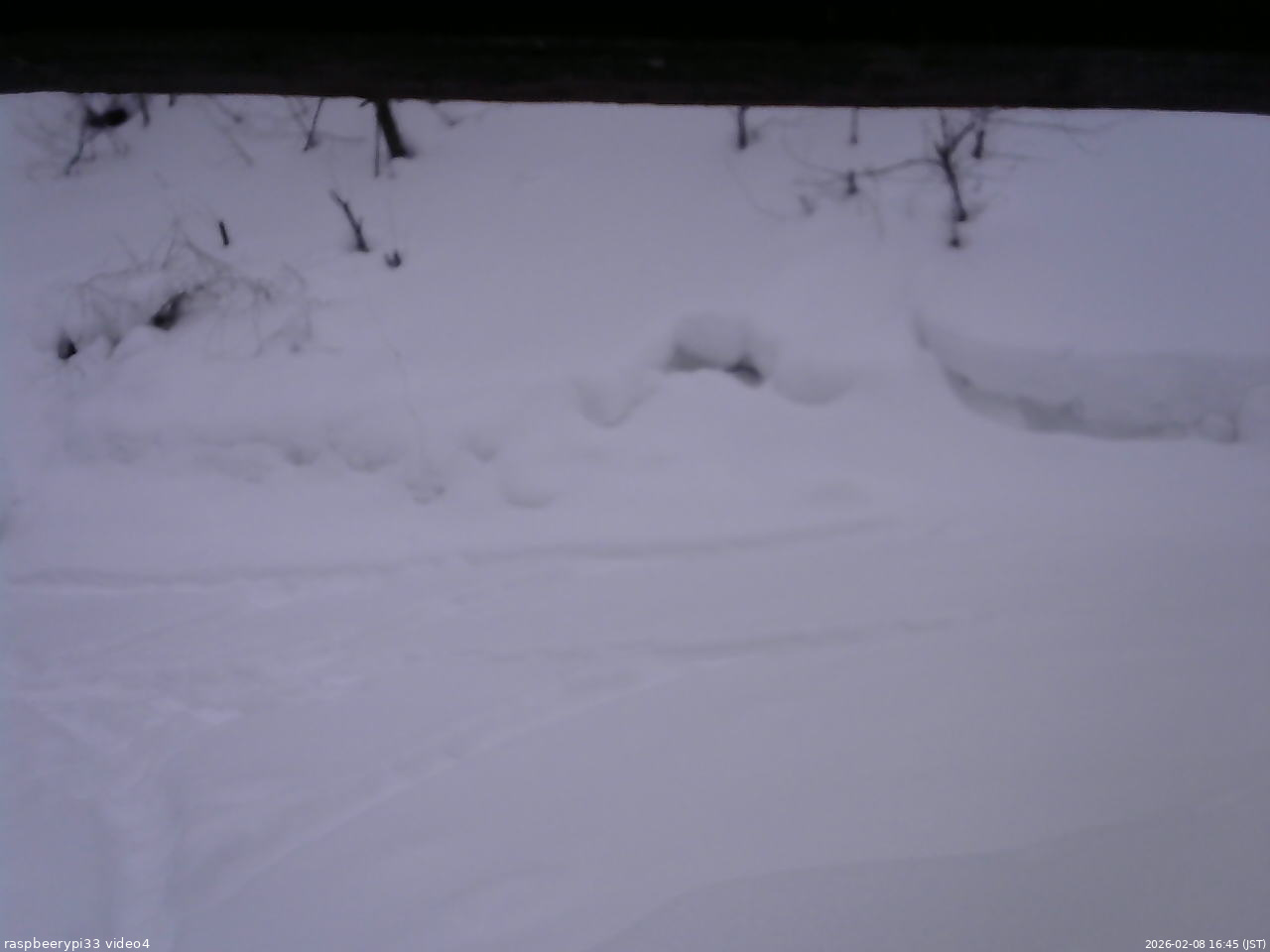 長野県菅平高原 ゆたか山荘 東側(坂下) 2026/02/08 16:45
