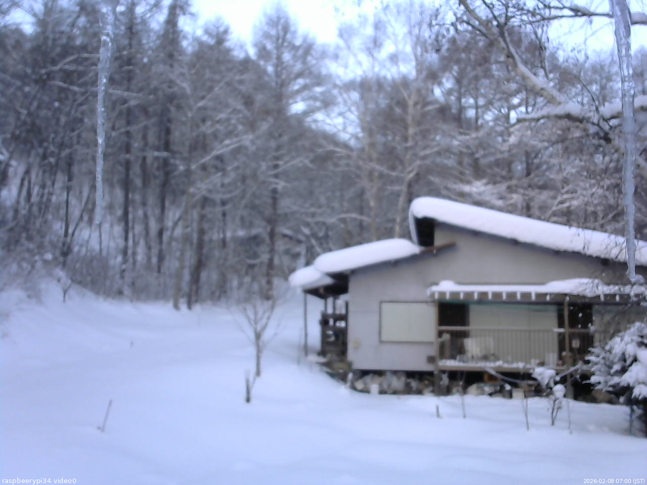 長野県菅平高原 ゆたか山荘 西側(坂上) 2026/02/08 07:00