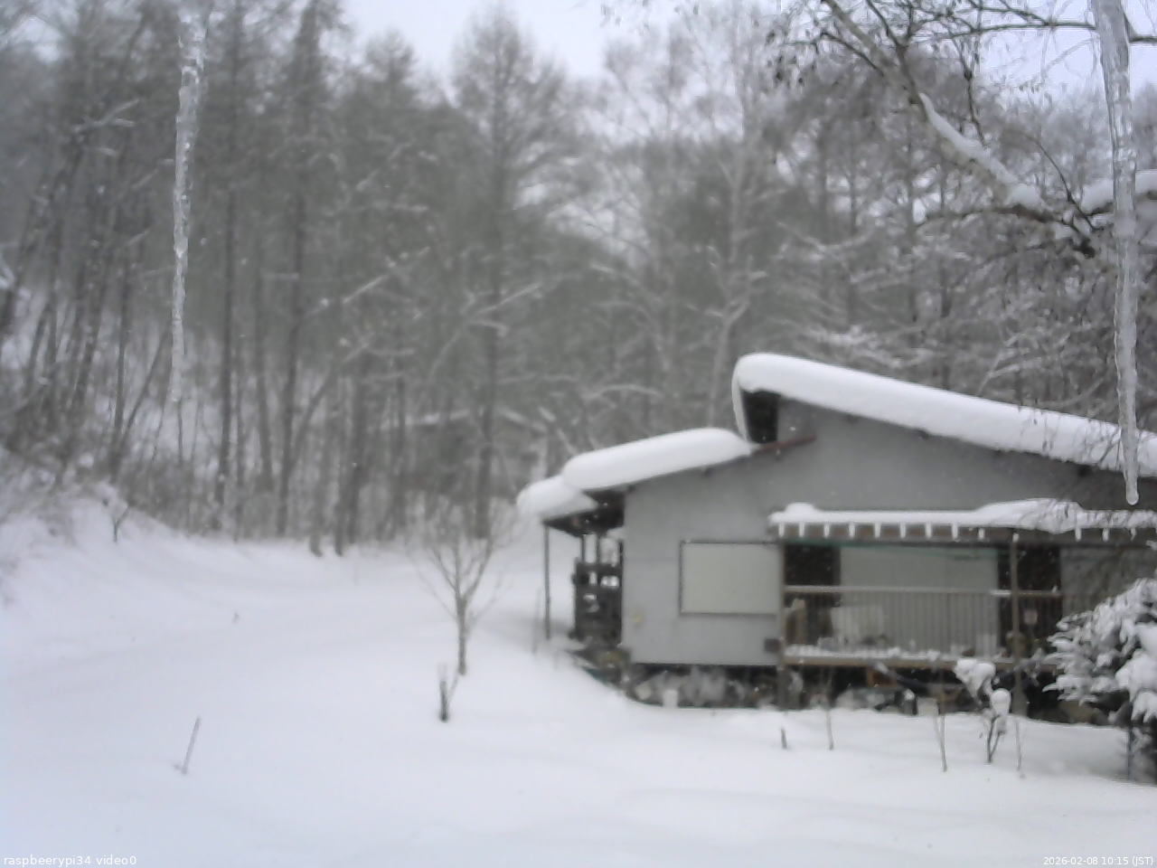 長野県菅平高原 ゆたか山荘 西側(坂上) 2026/02/08 10:15