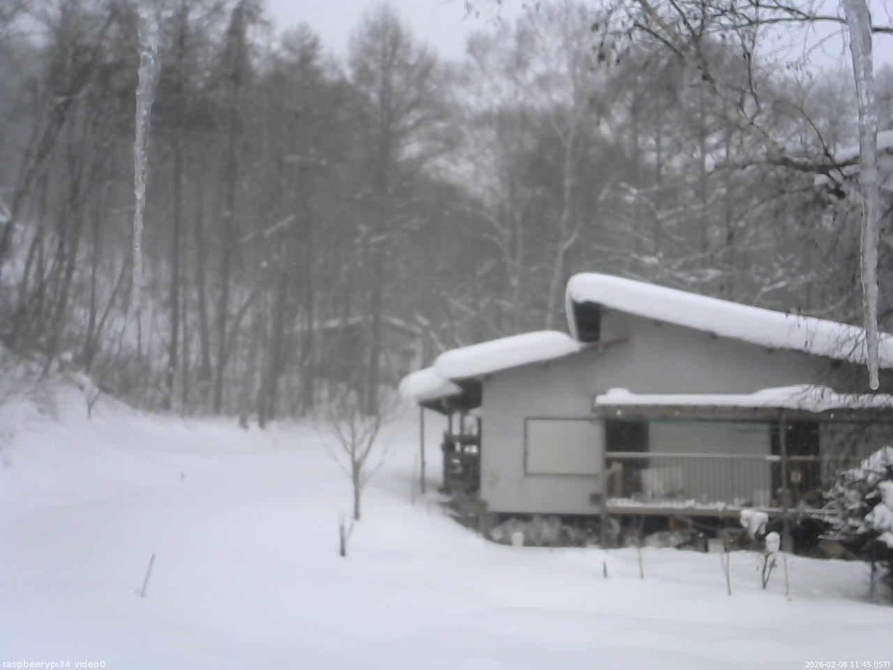 長野県菅平高原 ゆたか山荘 西側(坂上) 2026/02/08 11:45