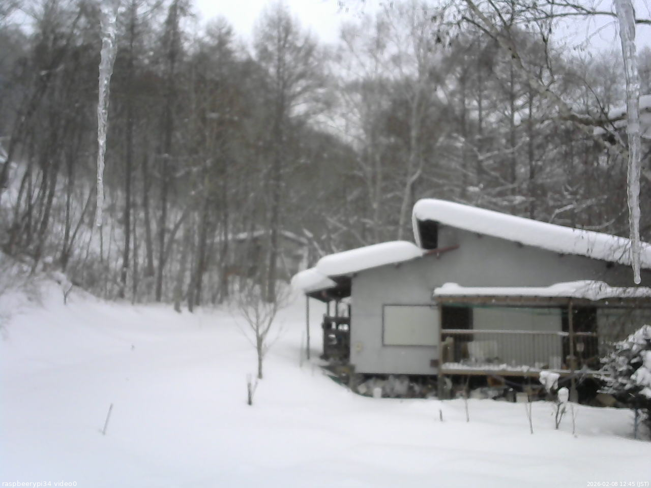 長野県菅平高原 ゆたか山荘 西側(坂上) 2026/02/08 12:45