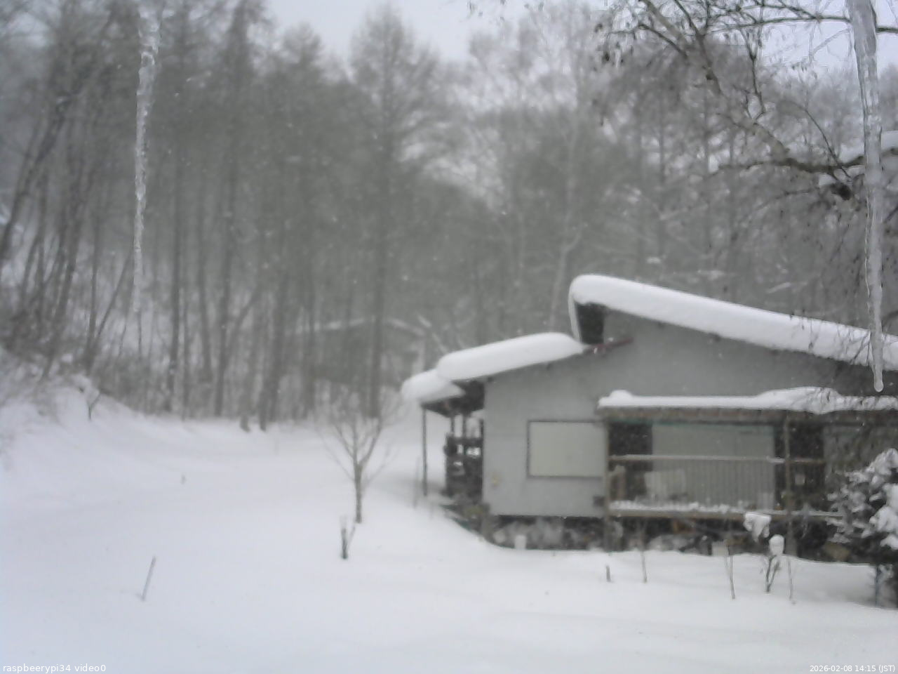 長野県菅平高原 ゆたか山荘 西側(坂上) 2026/02/08 14:15