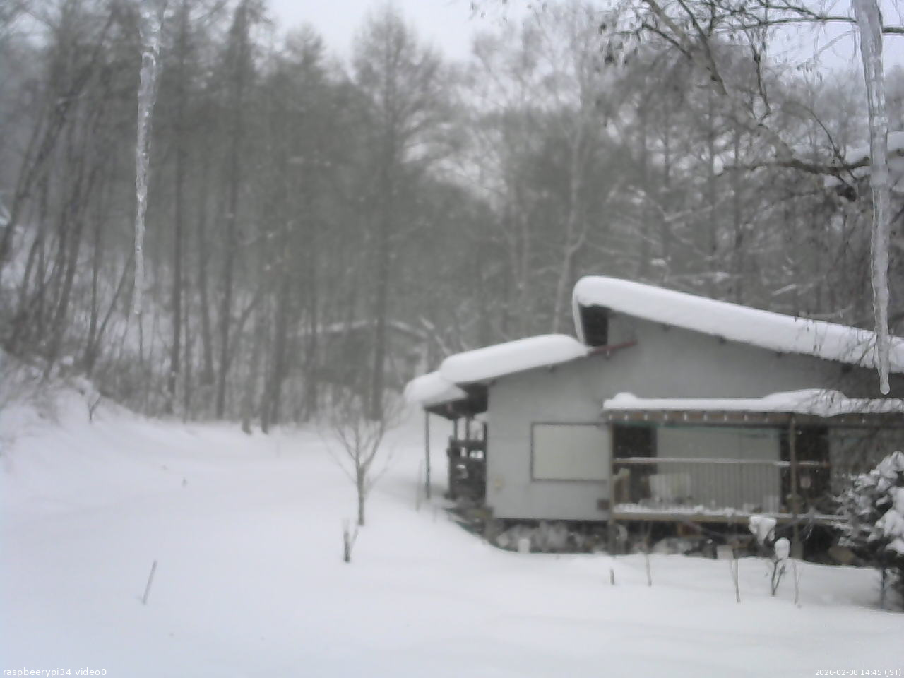 長野県菅平高原 ゆたか山荘 西側(坂上) 2026/02/08 14:45