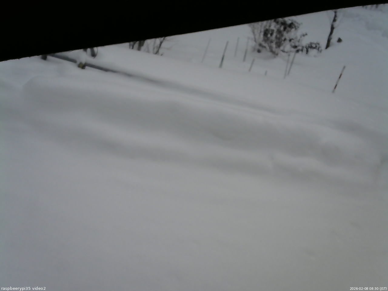 長野県菅平高原 ゆたか山荘 駐車場 2026/02/08 08:30