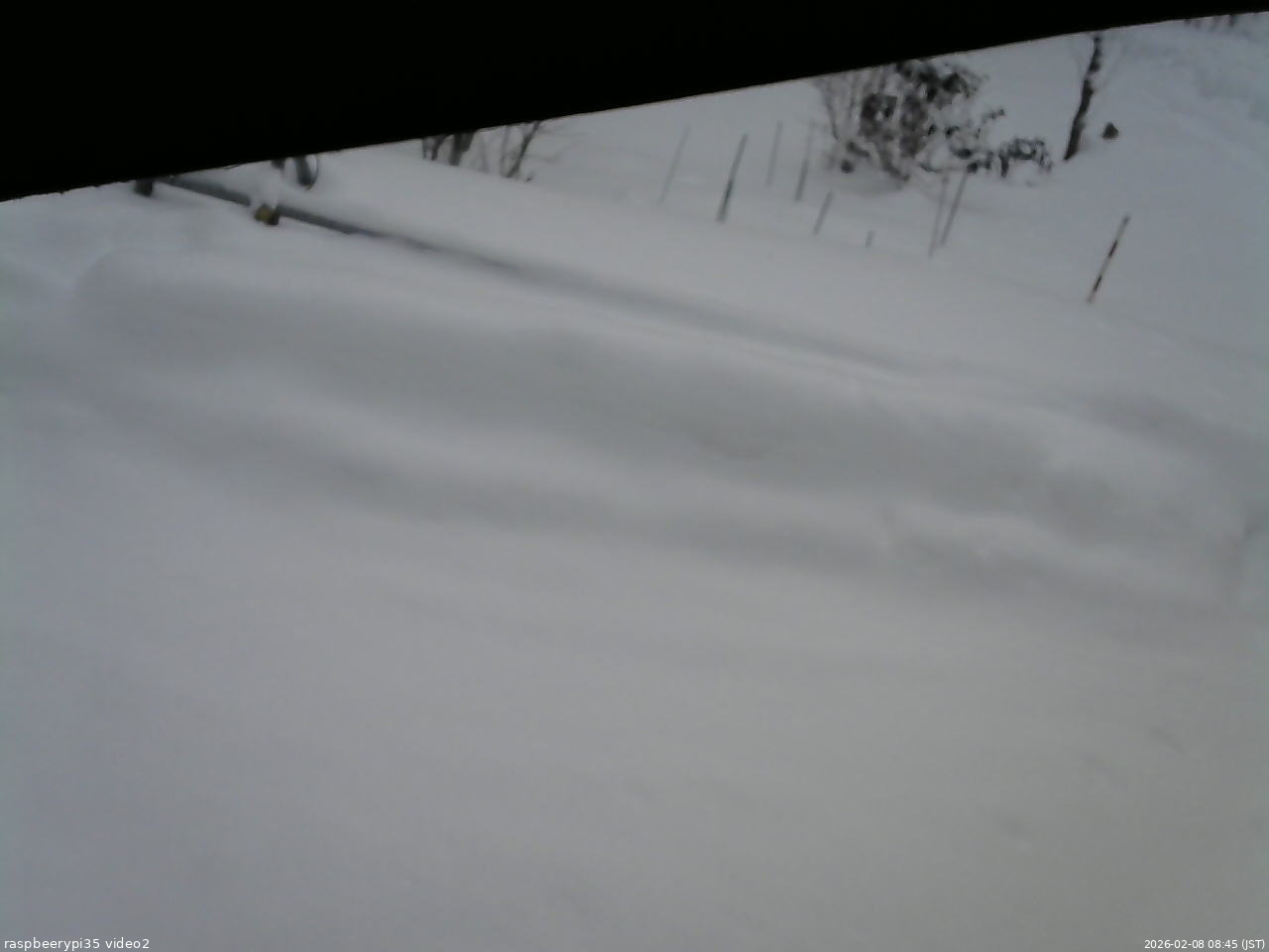 長野県菅平高原 ゆたか山荘 駐車場 2026/02/08 08:45