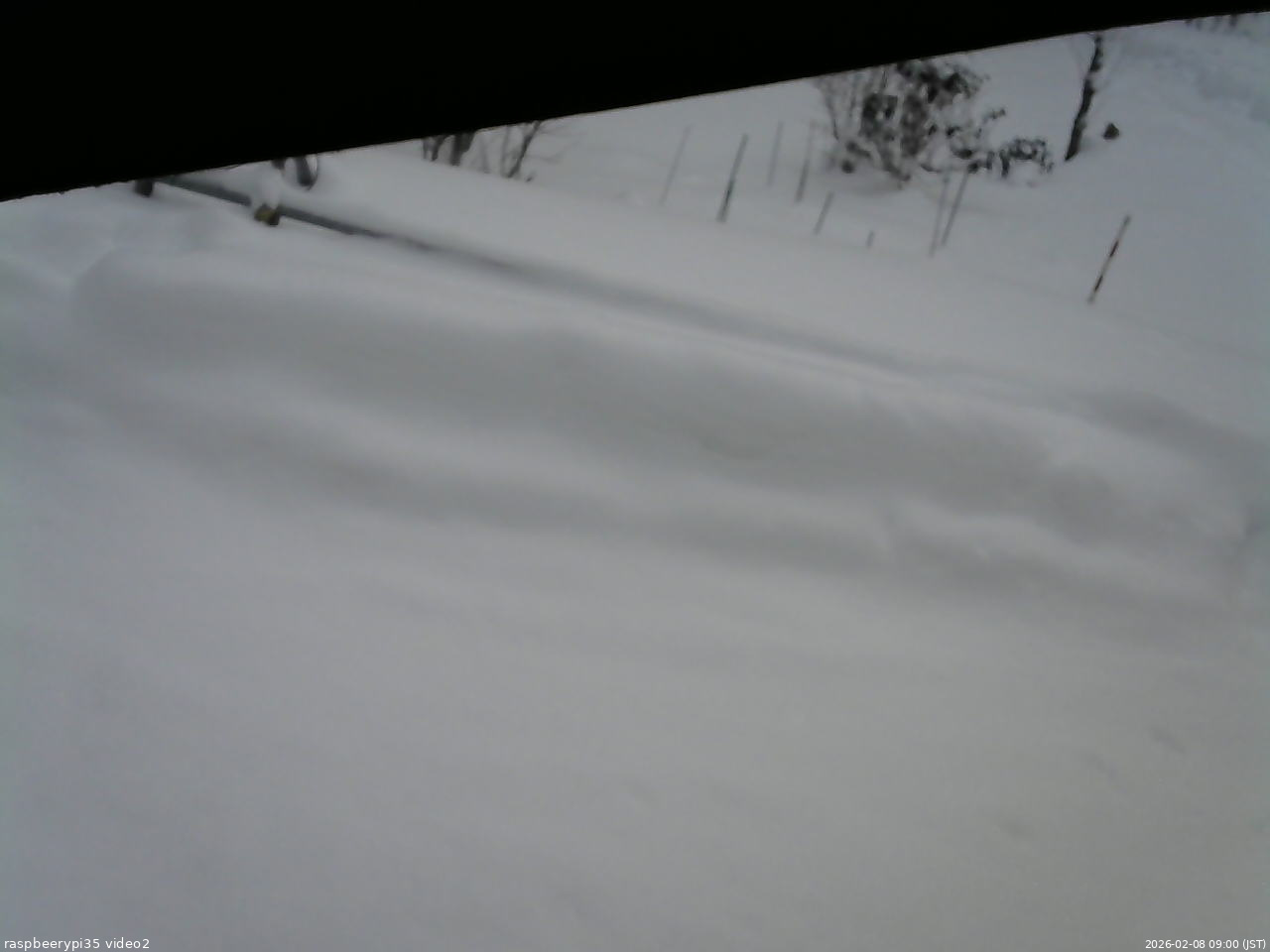 長野県菅平高原 ゆたか山荘 駐車場 2026/02/08 09:00