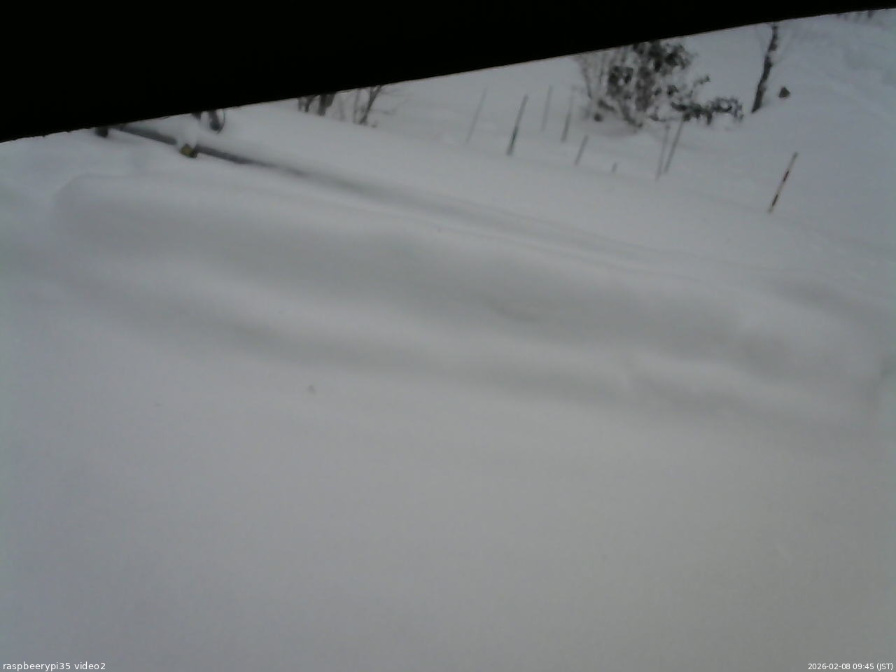 長野県菅平高原 ゆたか山荘 駐車場 2026/02/08 09:45