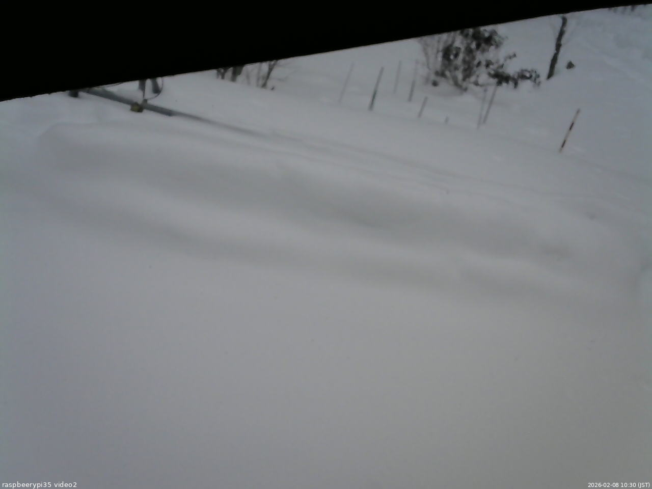 長野県菅平高原 ゆたか山荘 駐車場 2026/02/08 10:30