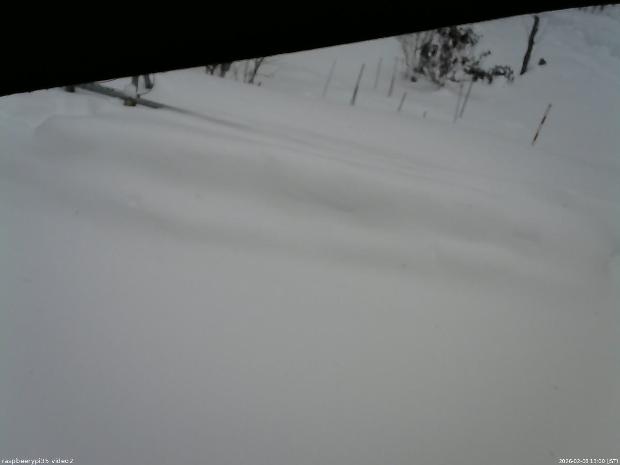 長野県菅平高原 ゆたか山荘 駐車場 2026/02/08 13:00