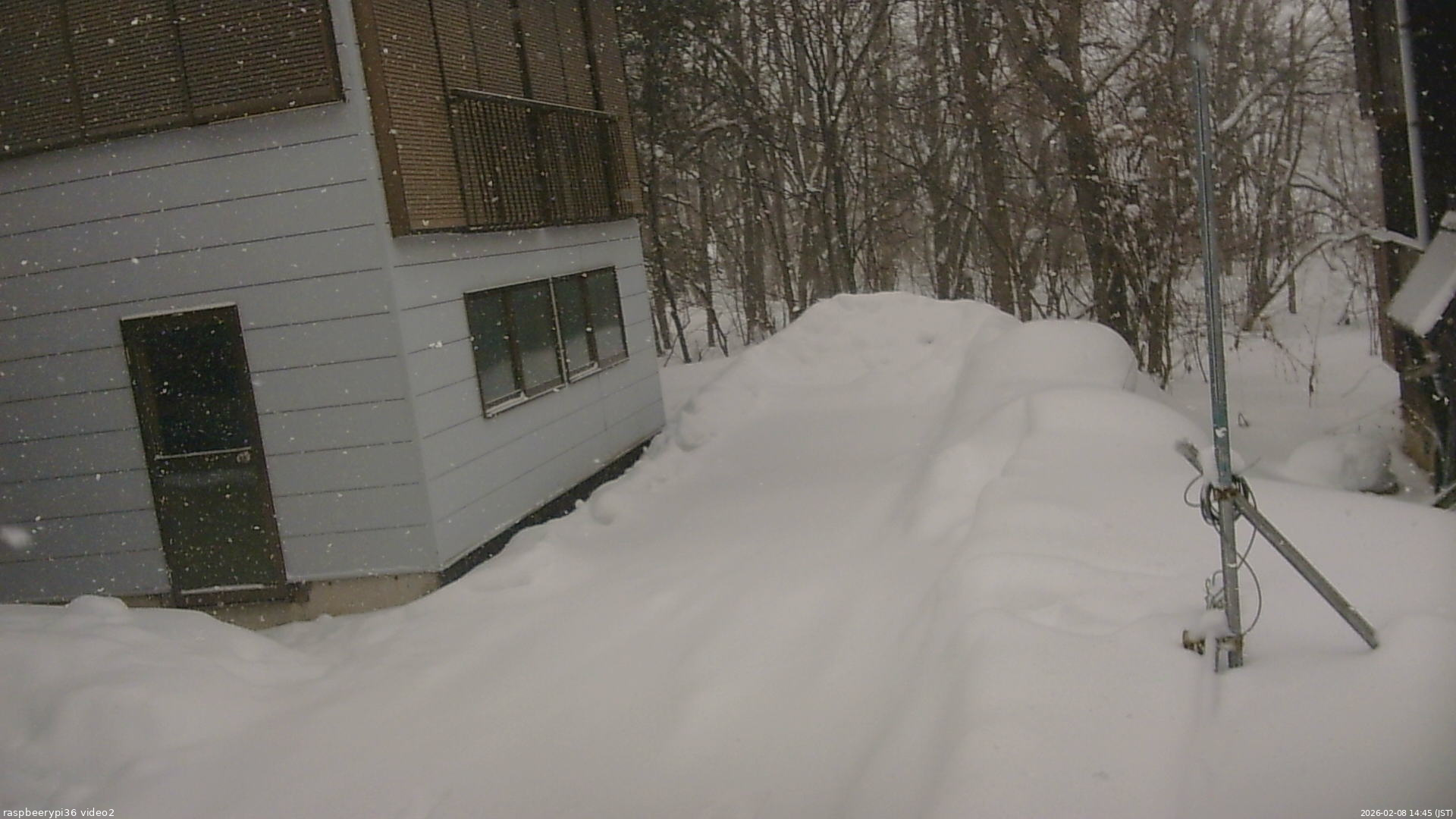 長野県菅平高原 ゆたか山荘 駐車場奥 2026/02/08 14:45