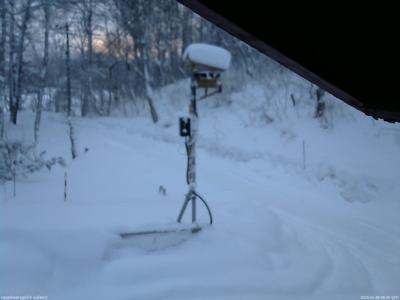 長野県菅平高原 ゆたか山荘 南側 2026/02/09 06:45