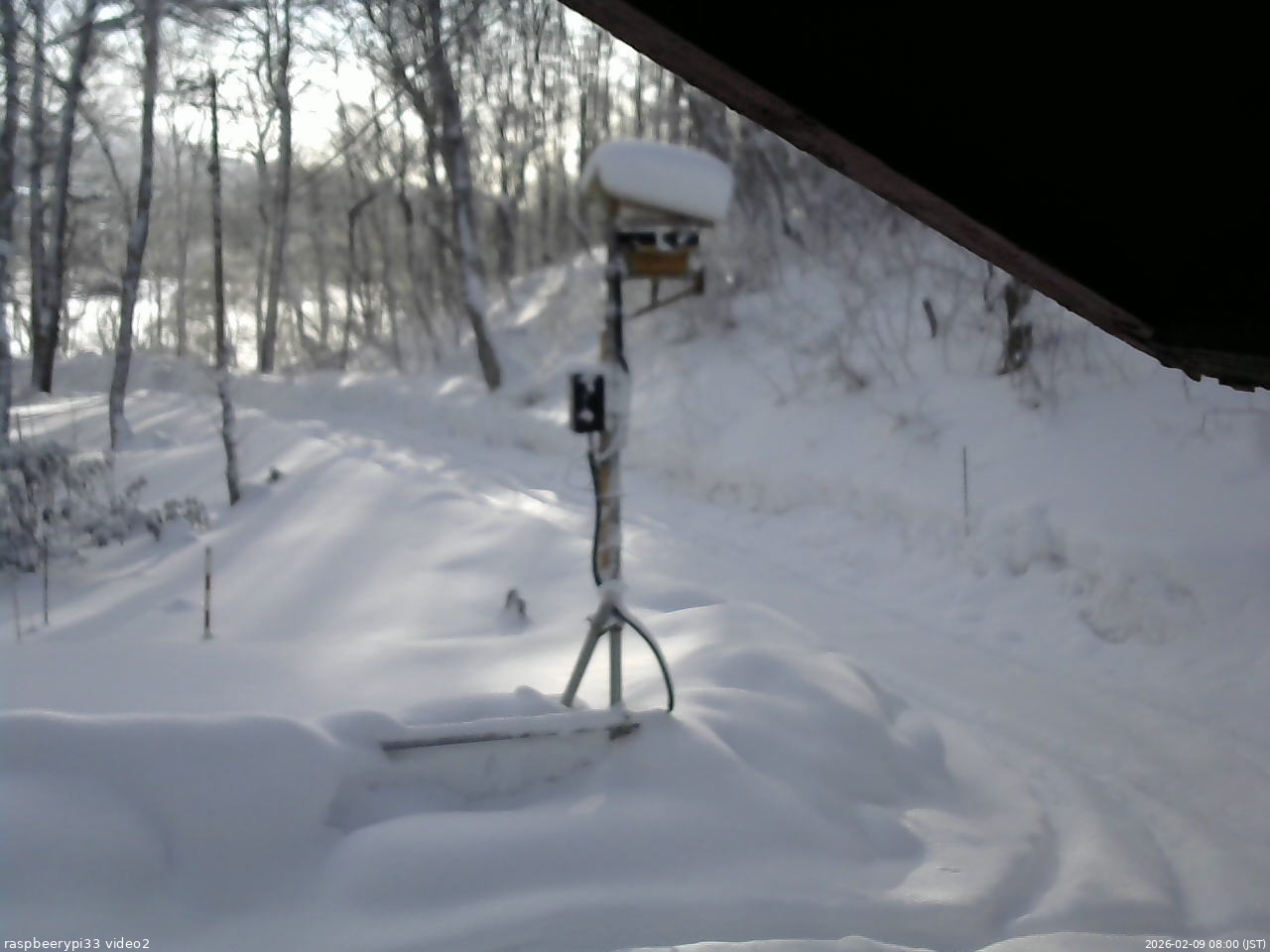 長野県菅平高原 ゆたか山荘 南側 2026/02/09 08:00