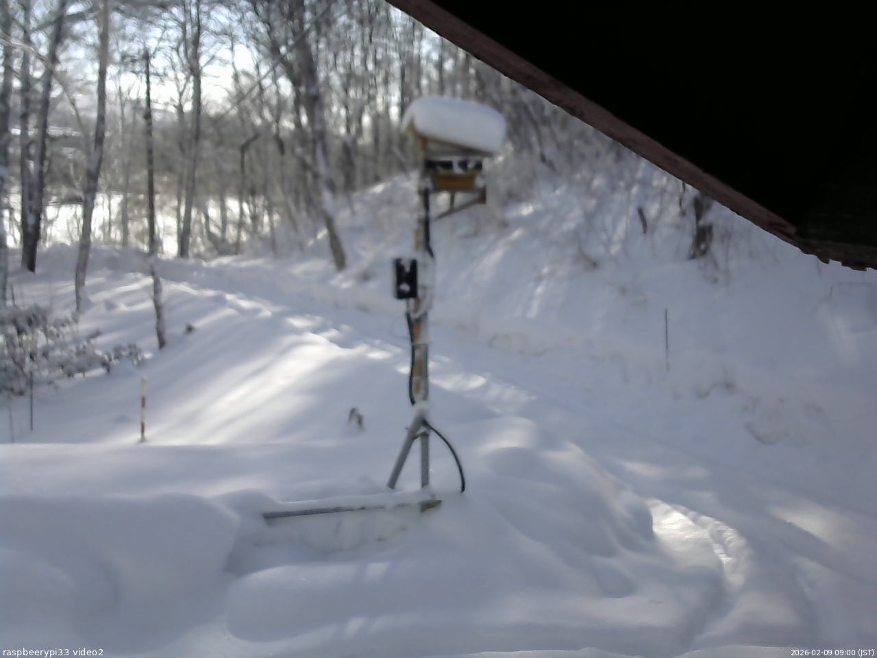 長野県菅平高原 ゆたか山荘 南側 2026/02/09 09:00