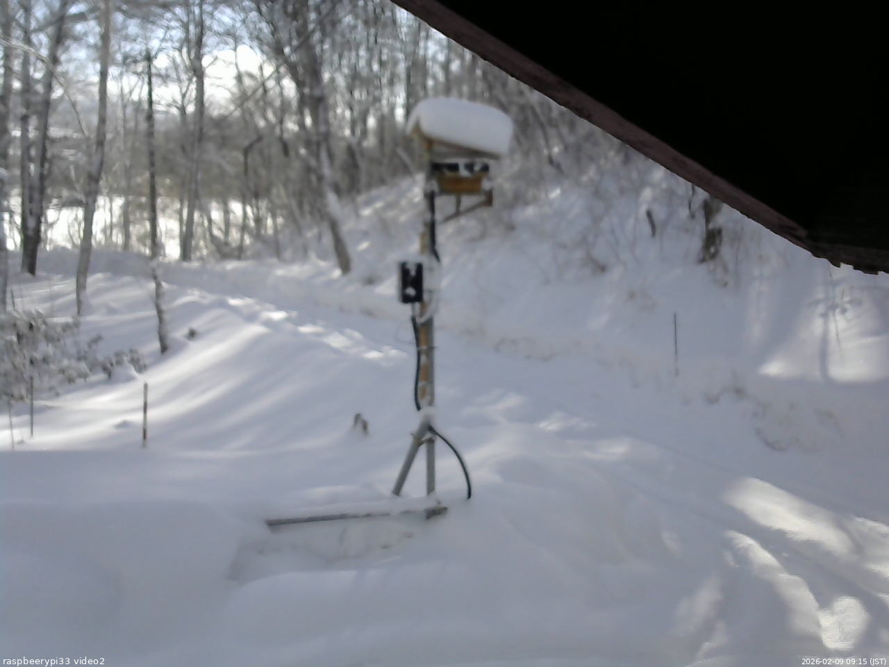 長野県菅平高原 ゆたか山荘 南側 2026/02/09 09:15