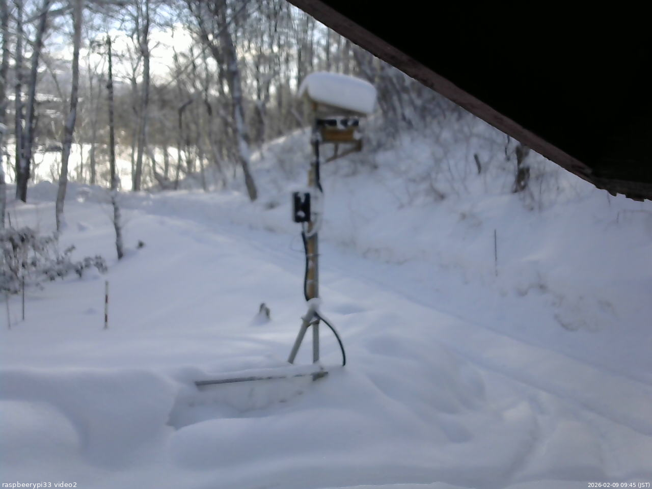 長野県菅平高原 ゆたか山荘 南側 2026/02/09 09:45