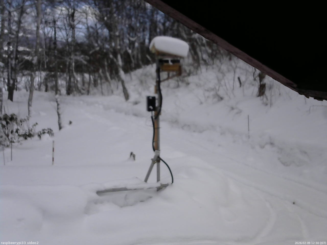 長野県菅平高原 ゆたか山荘 南側 2026/02/09 12:30