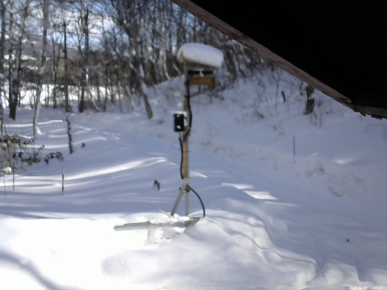 長野県菅平高原 ゆたか山荘 南側 2026/02/09 13:45