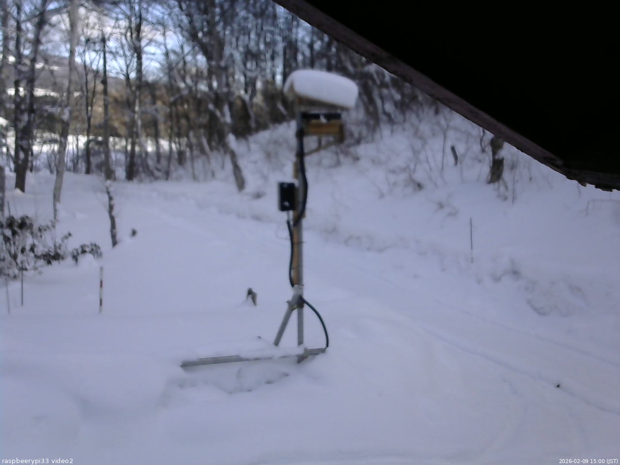 長野県菅平高原 ゆたか山荘 南側 2026/02/09 15:00