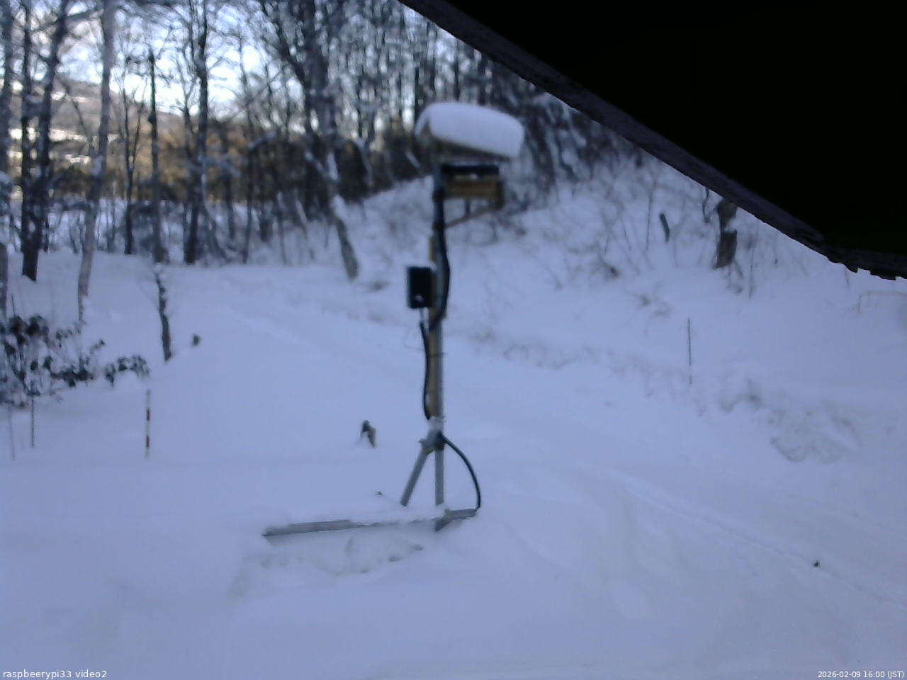 長野県菅平高原 ゆたか山荘 南側 2026/02/09 16:00