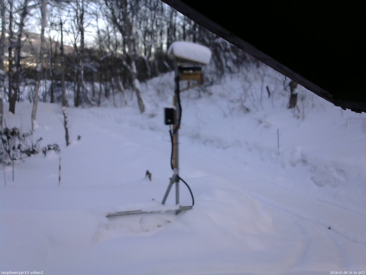 長野県菅平高原 ゆたか山荘 南側 2026/02/09 16:30