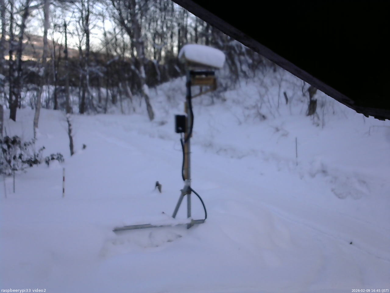 長野県菅平高原 ゆたか山荘 南側 2026/02/09 16:45