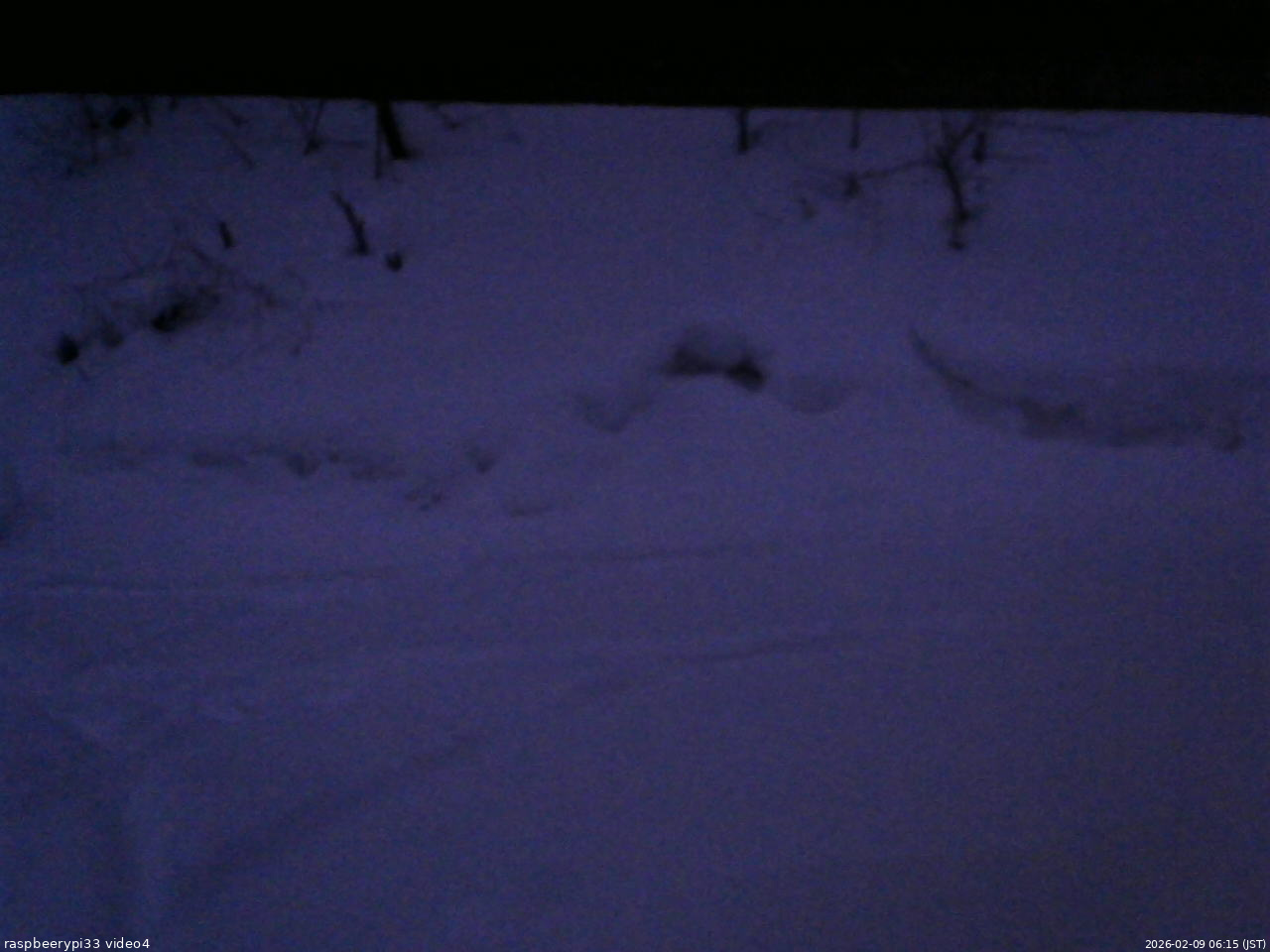 長野県菅平高原 ゆたか山荘 東側(坂下) 2026/02/09 06:15