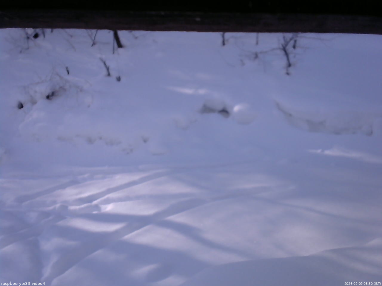 長野県菅平高原 ゆたか山荘 東側(坂下) 2026/02/09 08:30