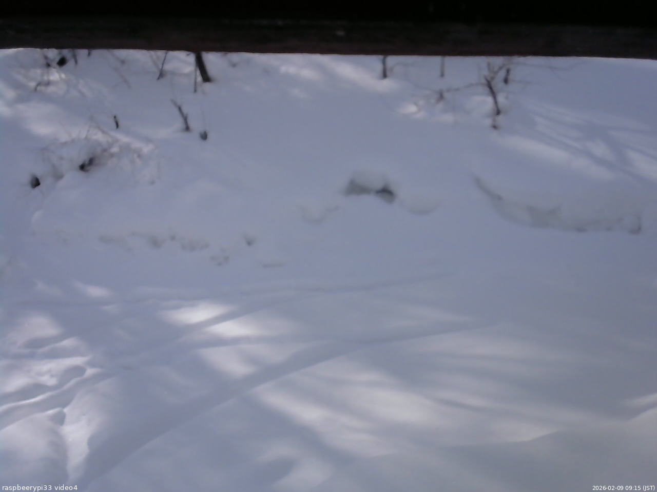 長野県菅平高原 ゆたか山荘 東側(坂下) 2026/02/09 09:15