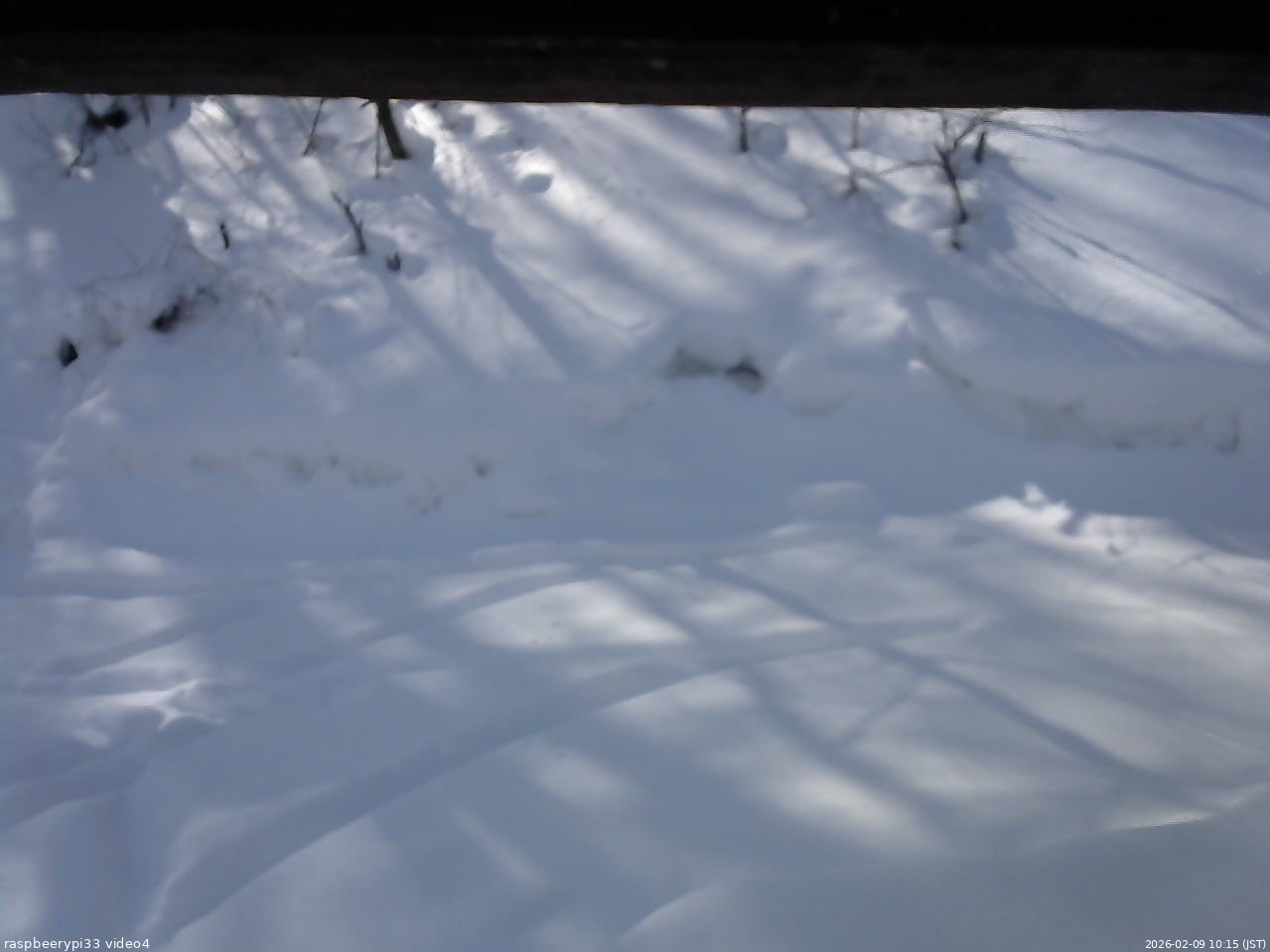 長野県菅平高原 ゆたか山荘 東側(坂下) 2026/02/09 10:15