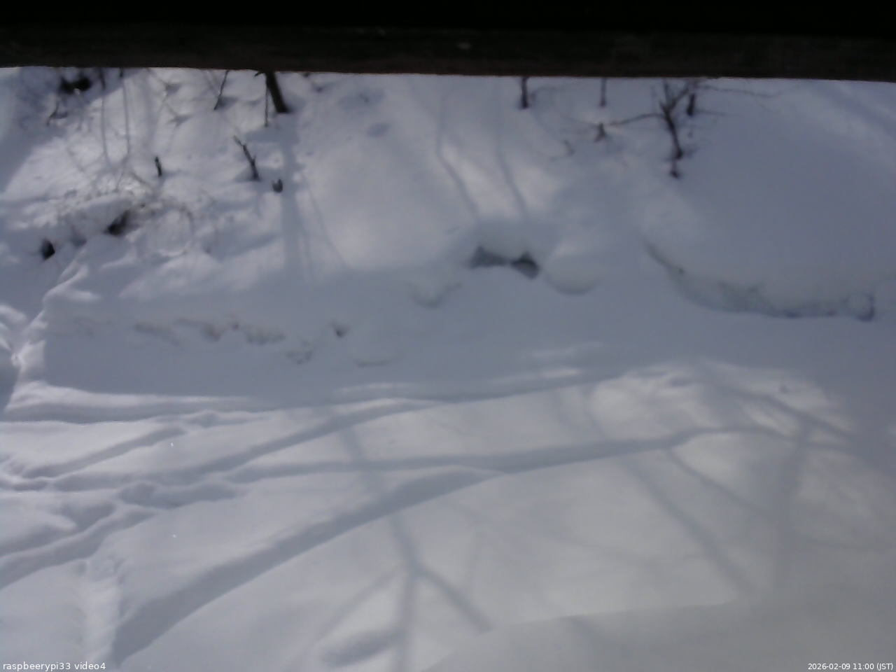長野県菅平高原 ゆたか山荘 東側(坂下) 2026/02/09 11:00