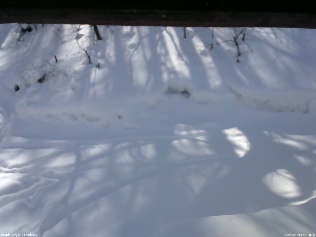 長野県菅平高原 ゆたか山荘 東側(坂下) 2026/02/09 11:30