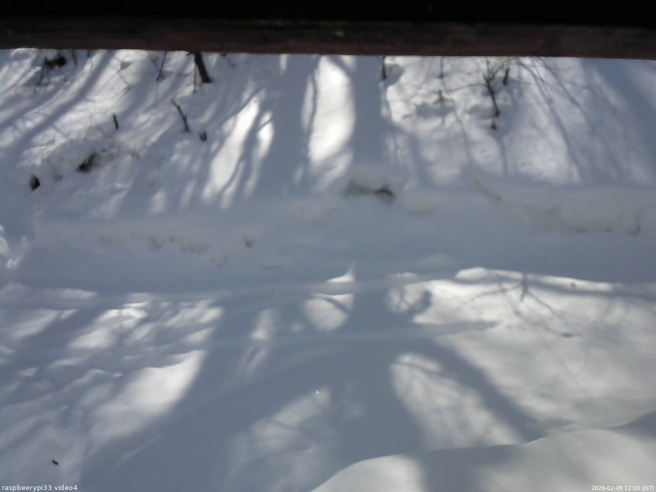 長野県菅平高原 ゆたか山荘 東側(坂下) 2026/02/09 12:00
