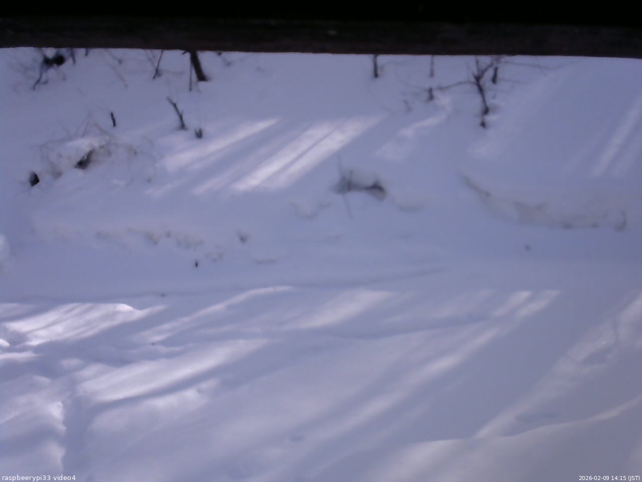 長野県菅平高原 ゆたか山荘 東側(坂下) 2026/02/09 14:15