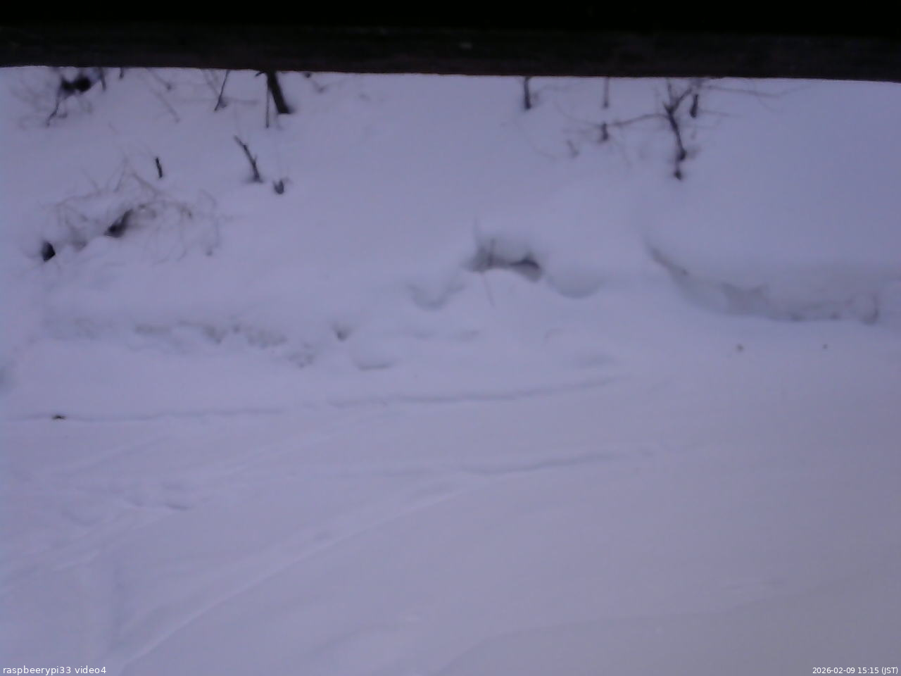 長野県菅平高原 ゆたか山荘 東側(坂下) 2026/02/09 15:15