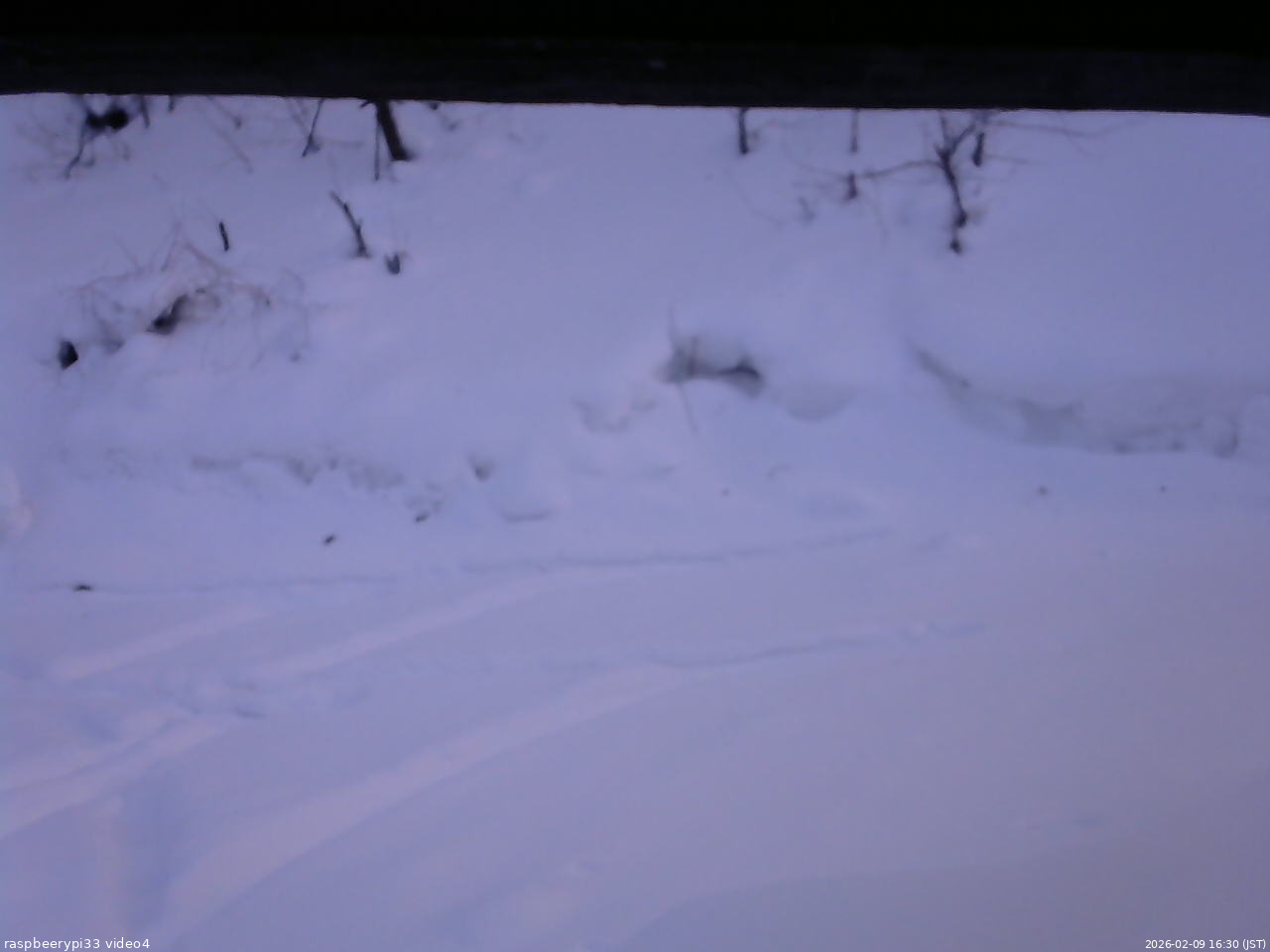 長野県菅平高原 ゆたか山荘 東側(坂下) 2026/02/09 16:30