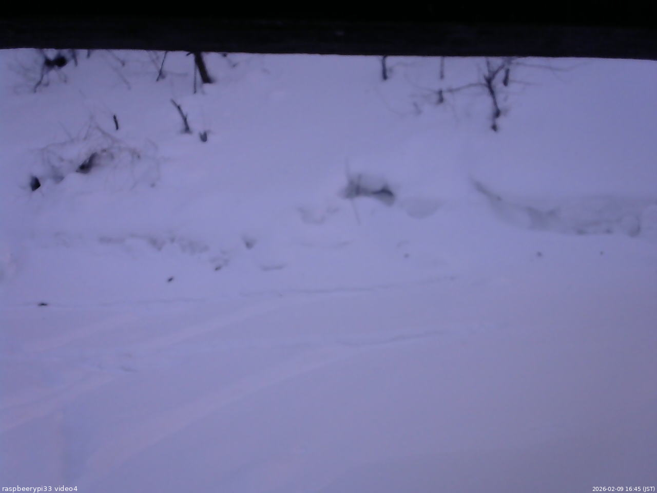 長野県菅平高原 ゆたか山荘 東側(坂下) 2026/02/09 16:45