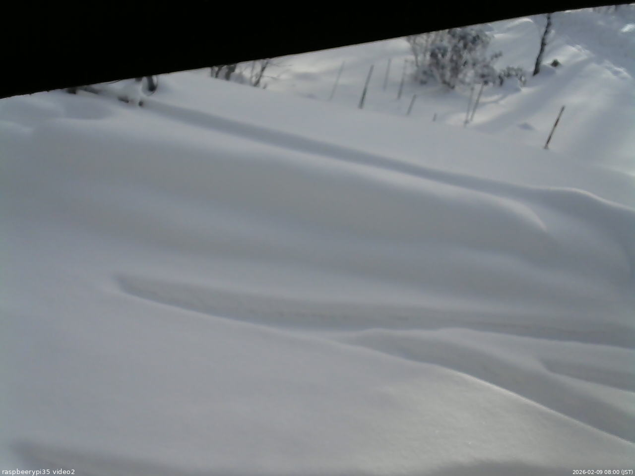長野県菅平高原 ゆたか山荘 駐車場 2026/02/09 08:00
