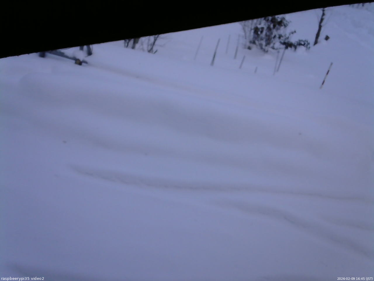 長野県菅平高原 ゆたか山荘 駐車場 2026/02/09 16:45