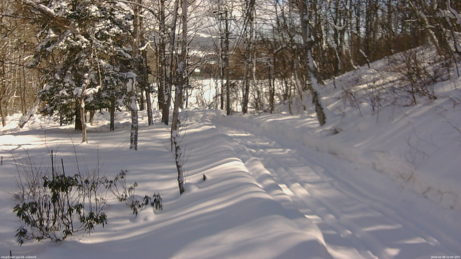 長野県菅平高原 ゆたか山荘 坂下 2026/02/09 12:00