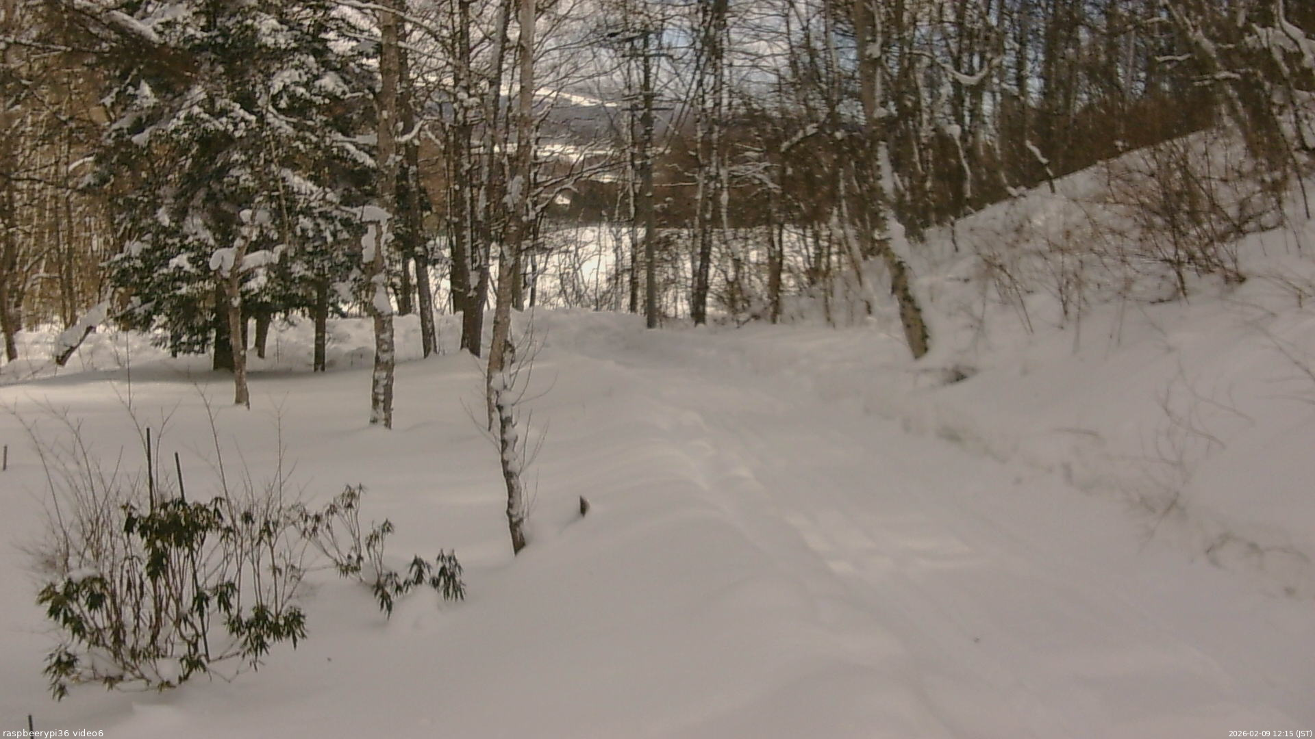 長野県菅平高原 ゆたか山荘 坂下 2026/02/09 12:15
