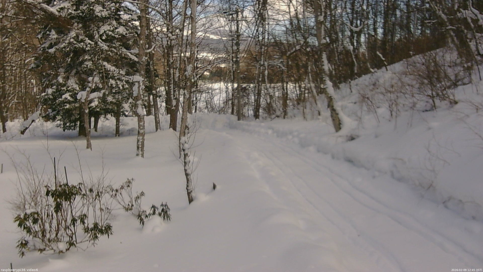 長野県菅平高原 ゆたか山荘 坂下 2026/02/09 12:45
