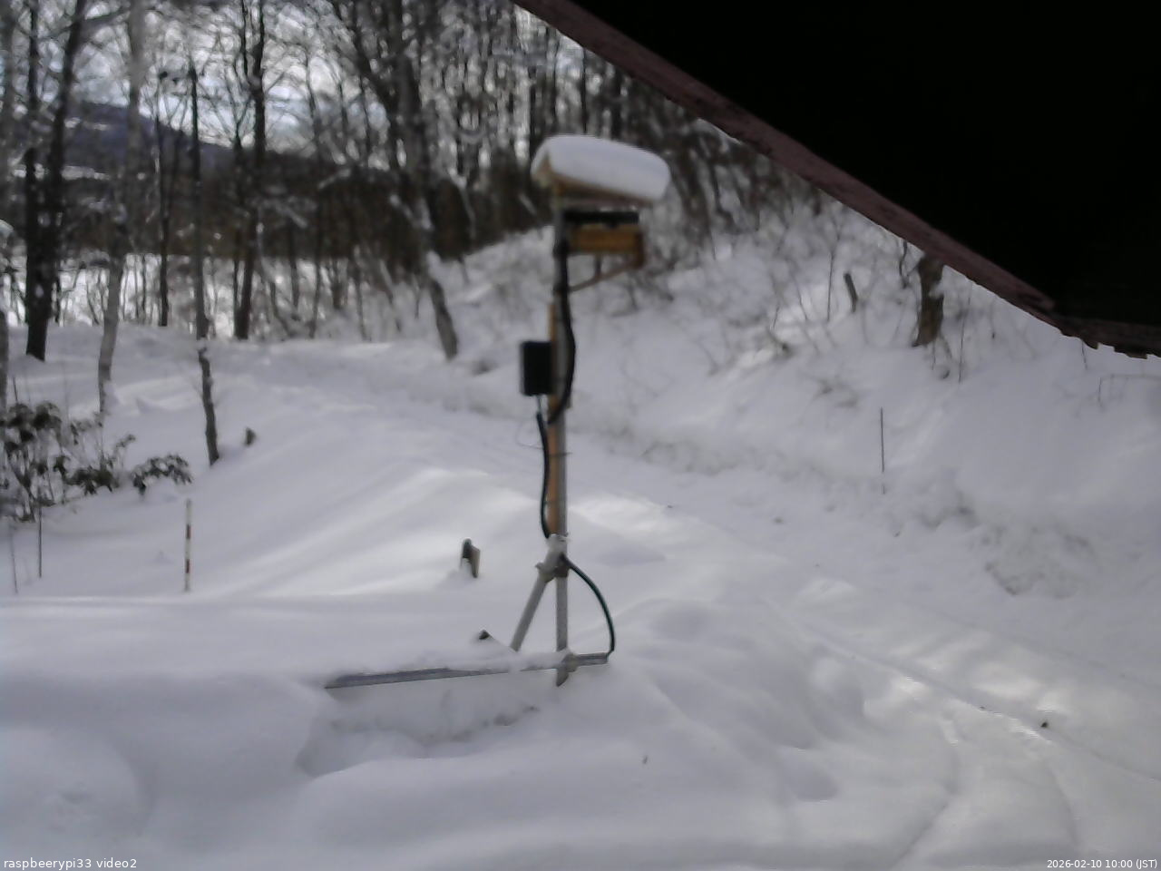 長野県菅平高原 ゆたか山荘 南側 2026/02/10 10:00
