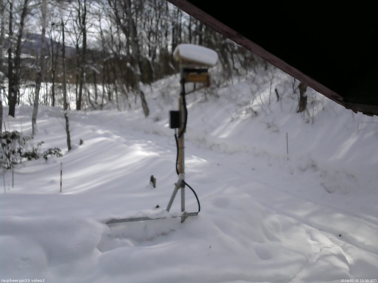 長野県菅平高原 ゆたか山荘 南側 2026/02/10 10:30